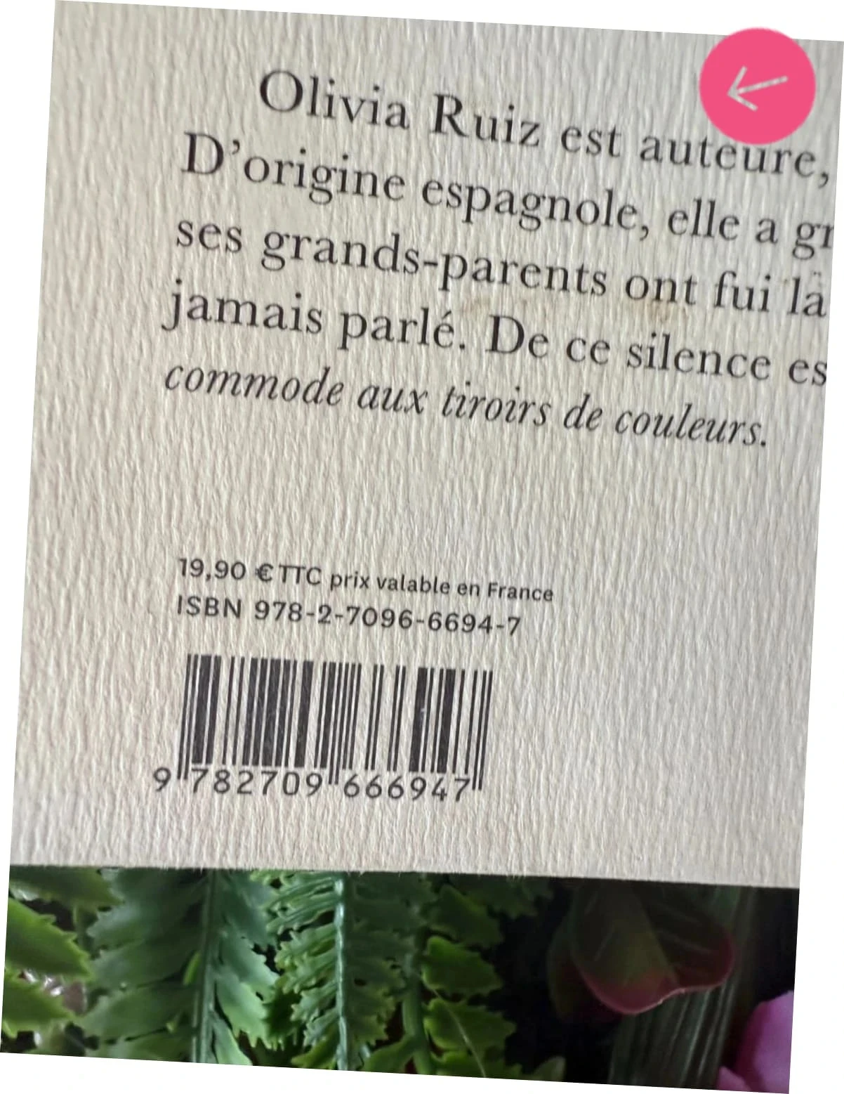 Livre Olivia Ruiz la commode au tiroir de couleur – photo 4